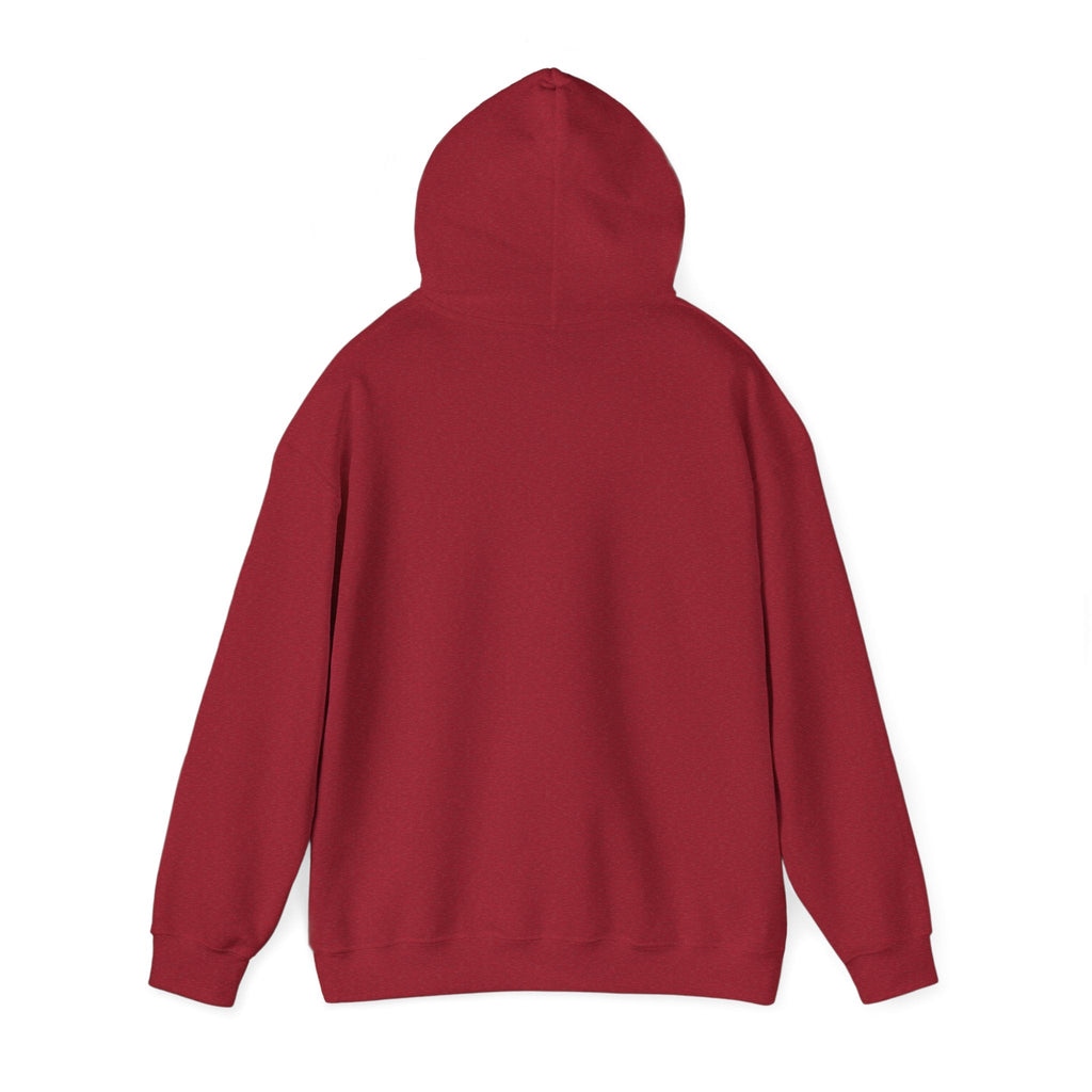 'Just for the Record' Men's Hoodie