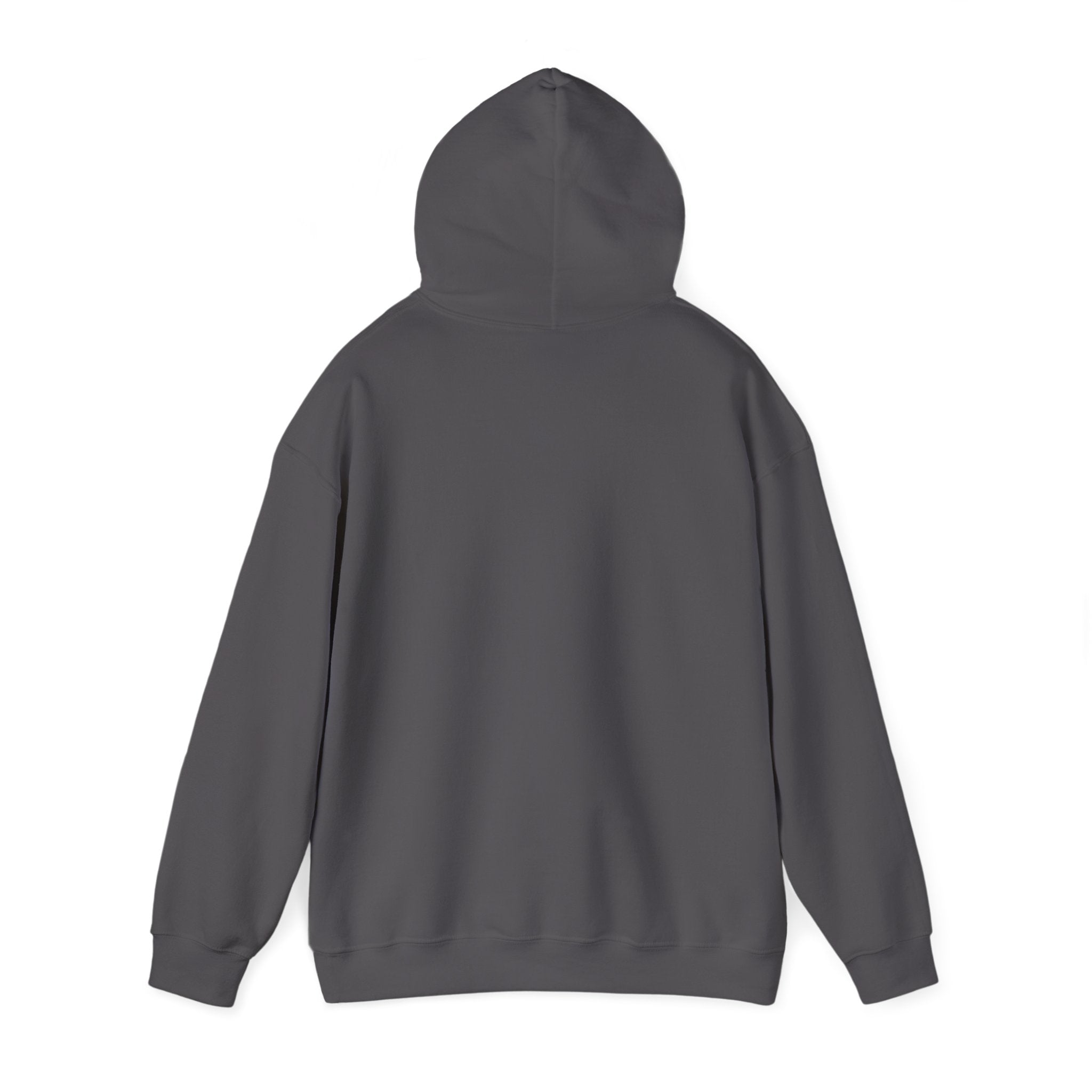 Vinyl Record Logo Men's Hoodie