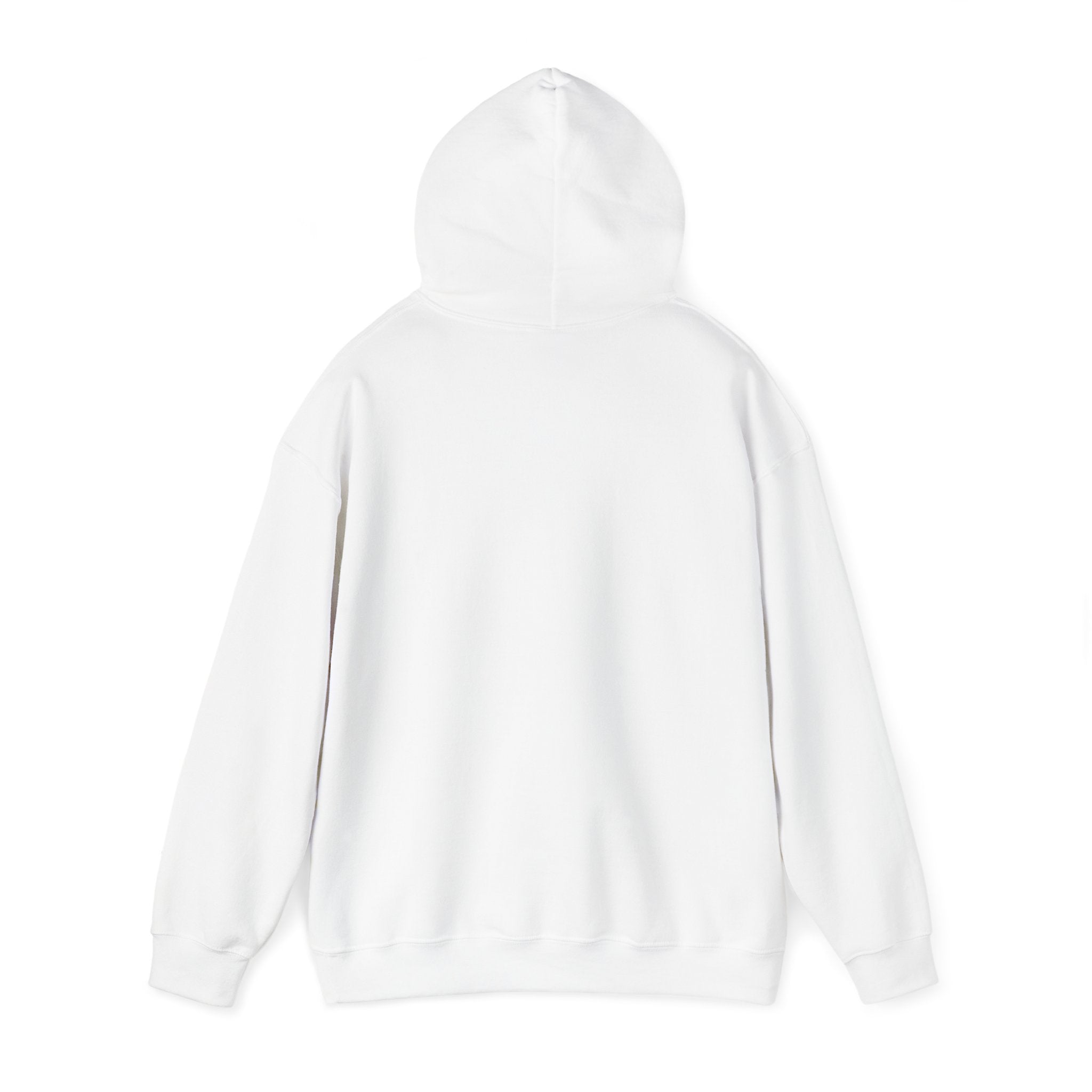'Just for the Record' Men's Hoodie