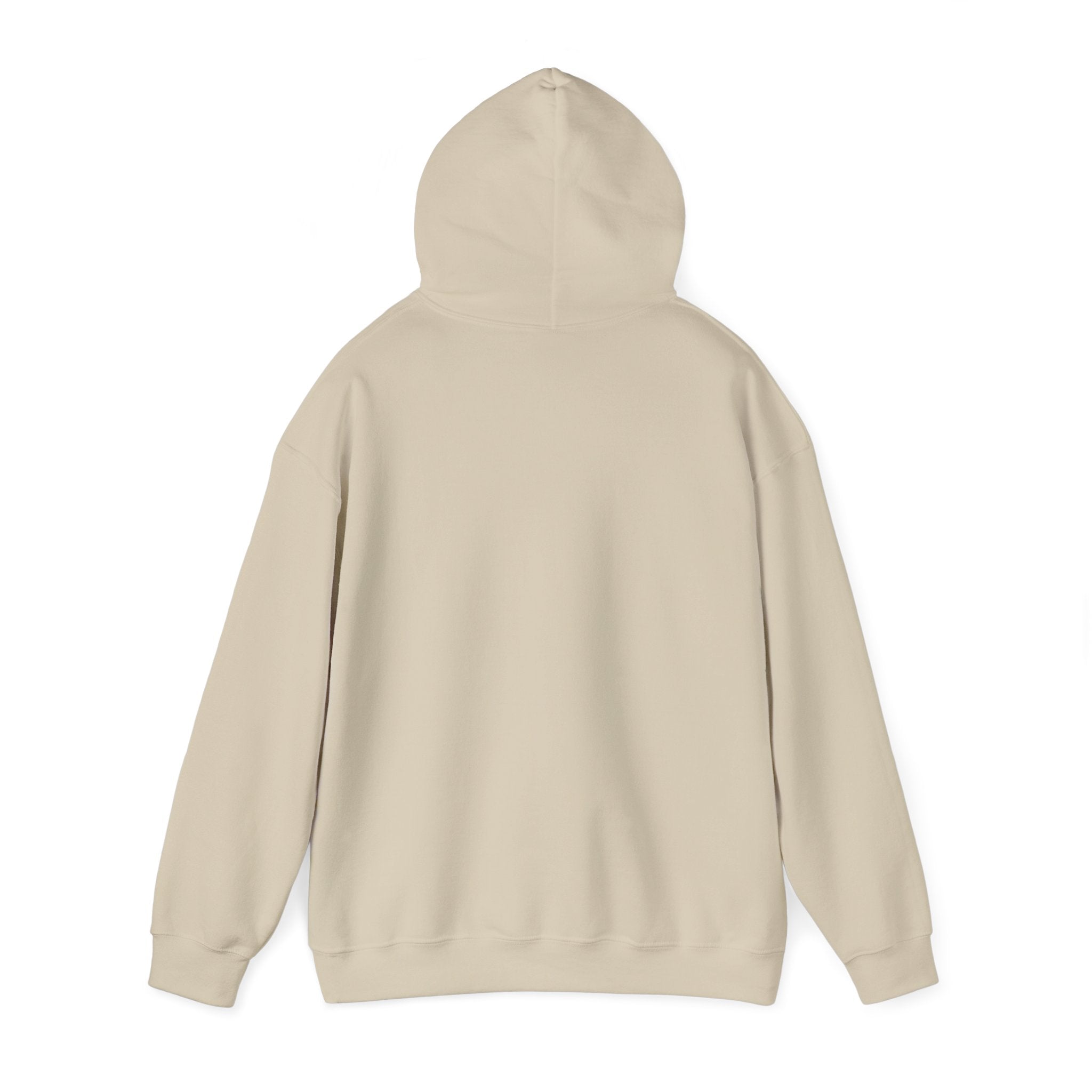 'Just for the Record' Men's Hoodie