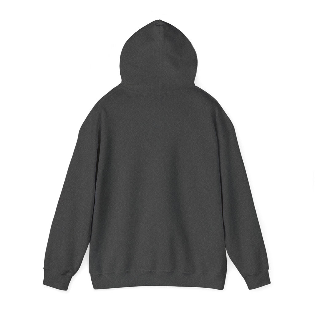 'Vinyl Records Are Groovy' Men's Hoodie