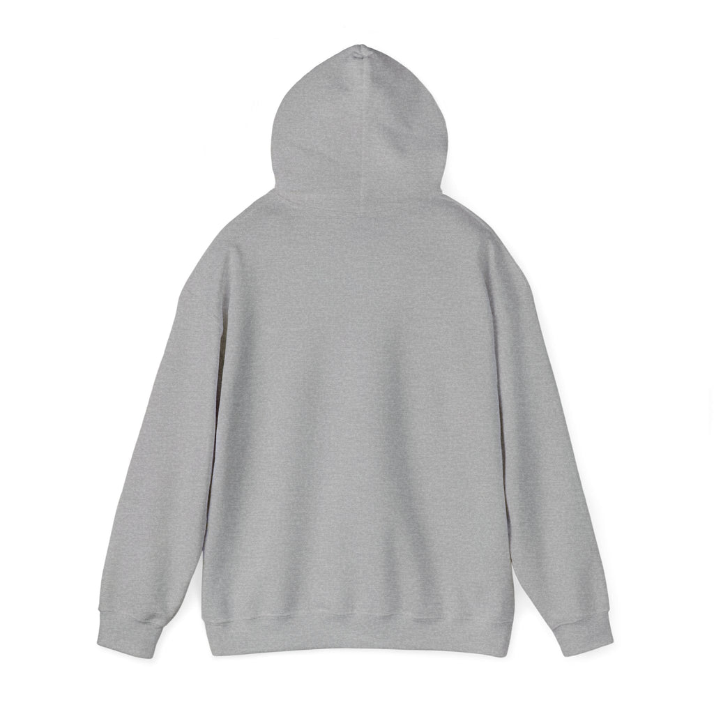 'Just for the Record' Men's Hoodie