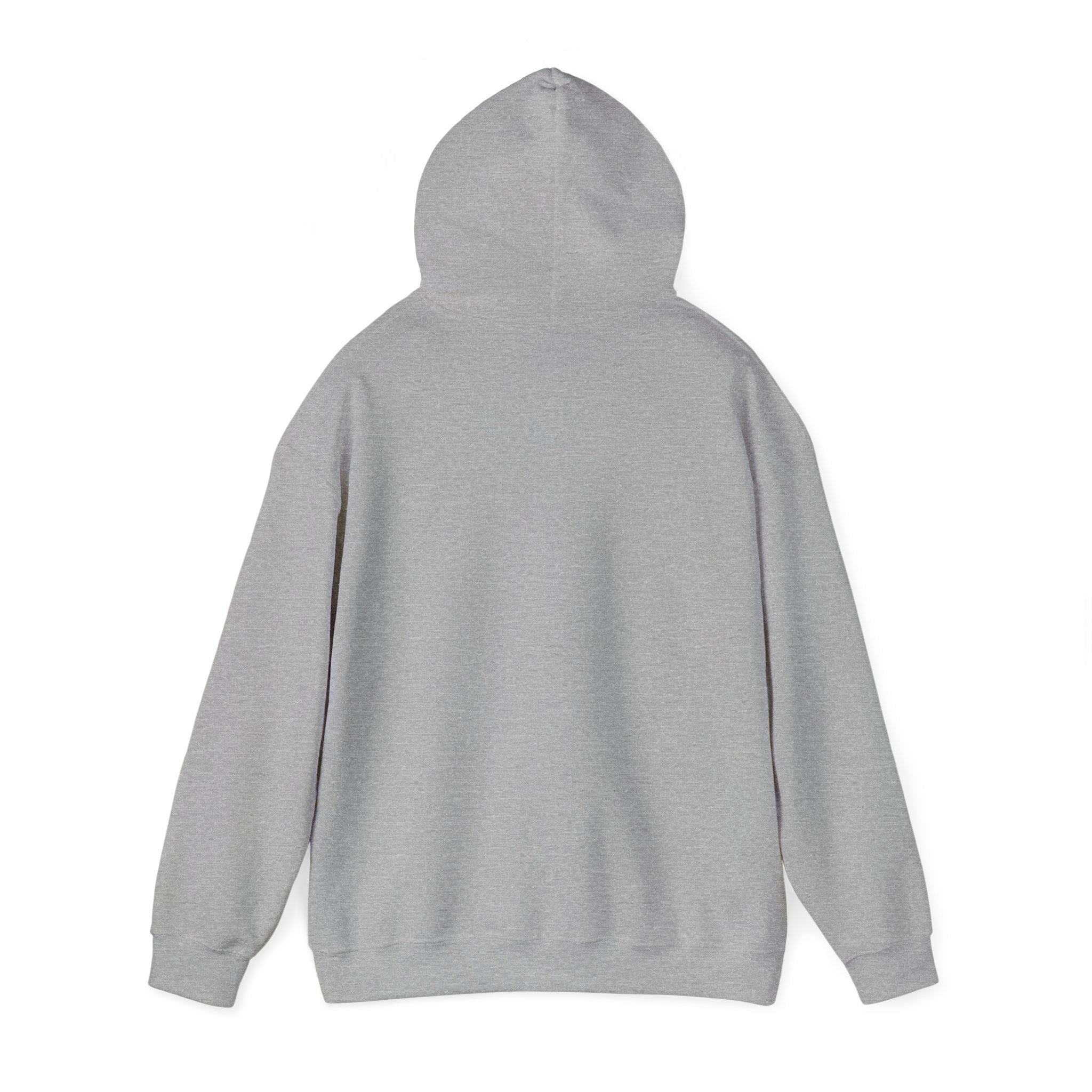 'Just for the Record' Men's Hoodie